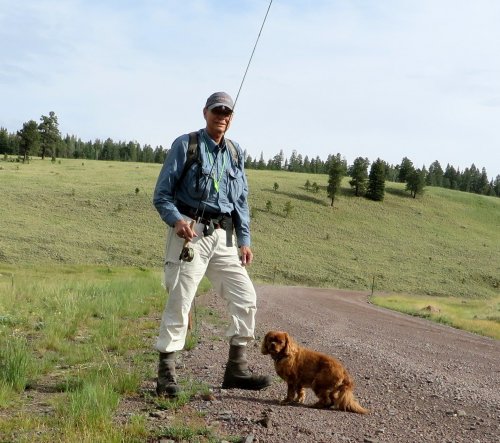 error-file:tidyout.log